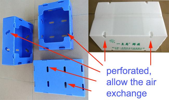 空気交換を許可する穴があいたプラスチックの箱