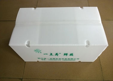 野菜を運ぶための空気循環の穴が付いている折りたたみプラスチックの箱